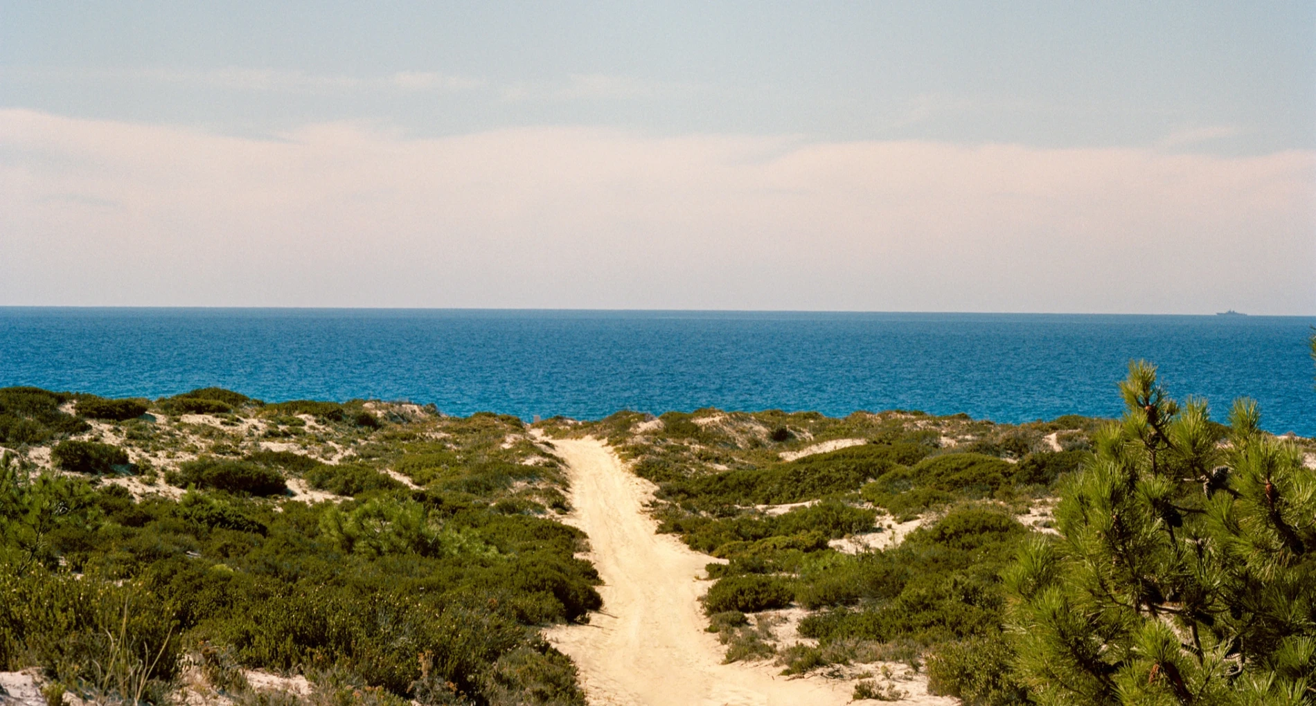 Where country living and seaside living meet