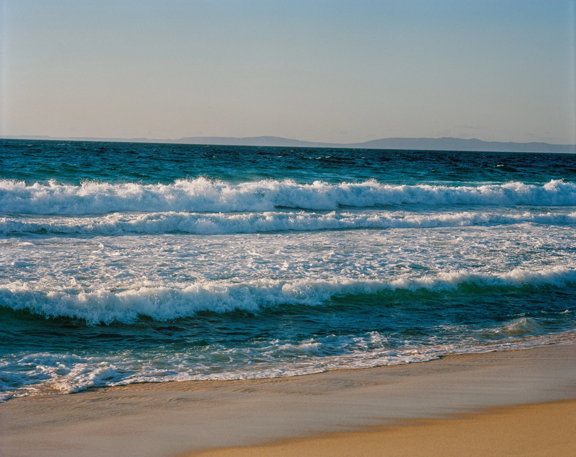 The ocean as your blue garden
