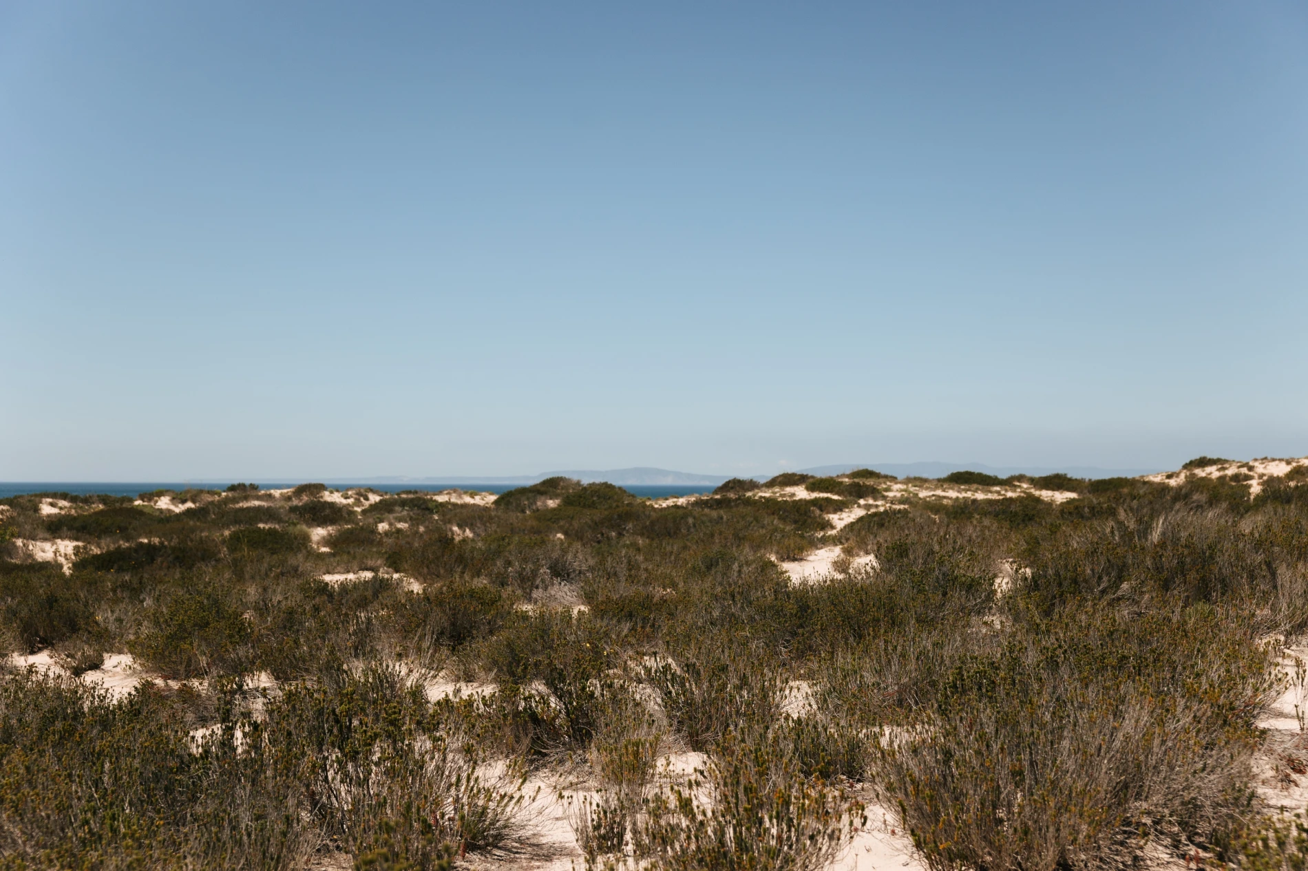 Surrounded by untouched dunes