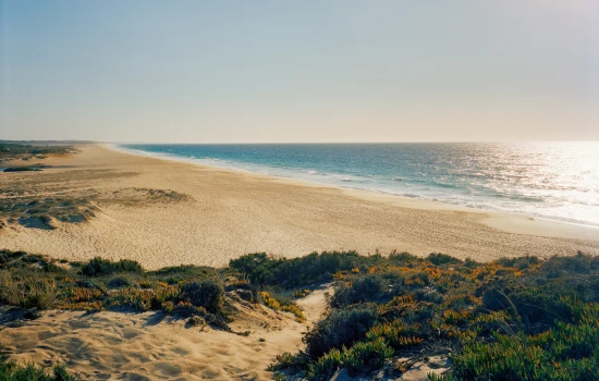 Dunas intocadas
